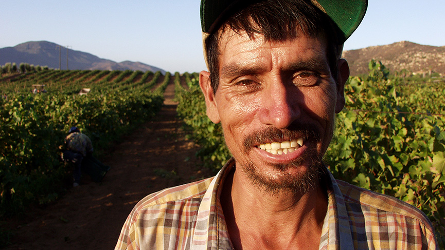 Un travailleur agricole