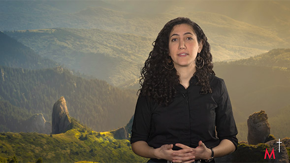 Gospel commentaries