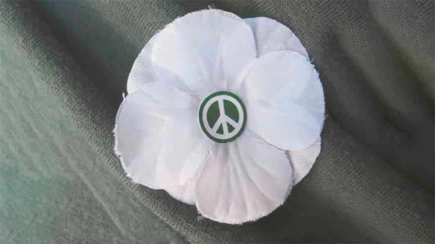 poppy campaign