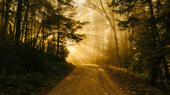 sentier-guerison