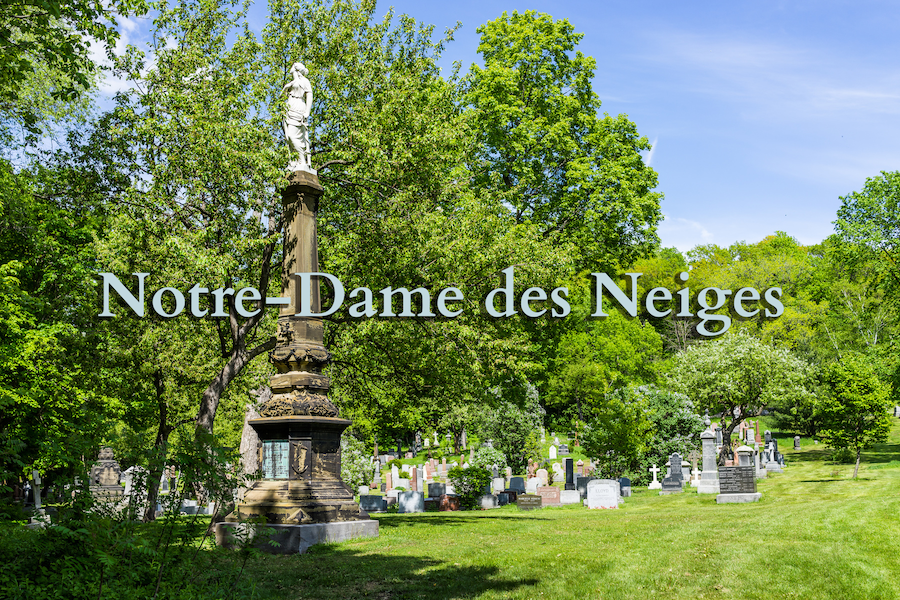 Cimetière Notre-Dame des Neiges