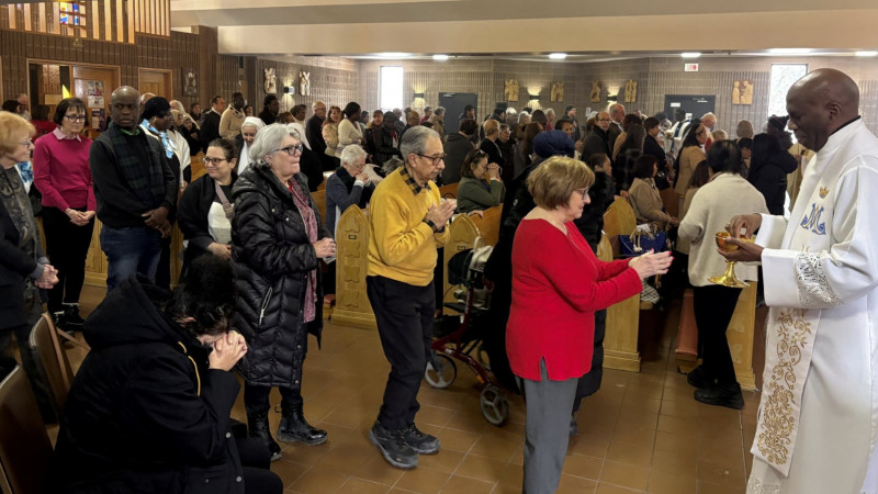 Journée Mondiale du Malade 2026 : Réflexion sur l’amour, la souffrance et l’immortalité
